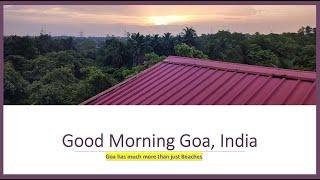 Good Morning Goa | #Cutetravel #goa #natue