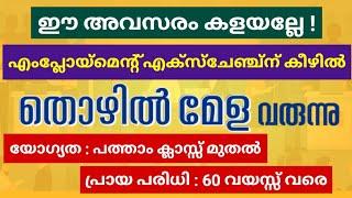 തൊഴിൽ മേള വഴി ജോലി നേടാം | Idukki Job Fair 2025 | Malayalam | Meenu Talkies