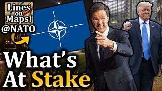 How Worried Is NATO about a U.S. Withdrawal? (Feat. Mark Rutte)