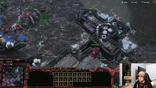 ZvP - High eco tech switchy playstyle vs stargate openers