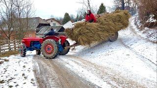 How do people live in the Carpathian Mountains? Romanian countryside