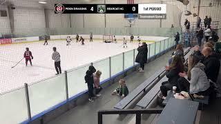 UHT LUCK OF THE IRISH 2025, GAME 2-Pekin Dragons @ Bearcat HC - 3/29/2025