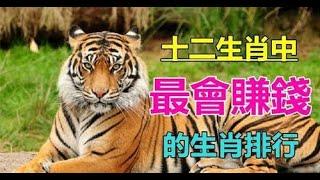 十二生肖中「最會賺錢」就在今天虎虎得喜的生肖排行 前六名「有錢不用愁」有你嗎 | 生肖命理