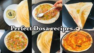 ഒരേ മാവിൽ 4 കിടിലൻ ദോശ | Perfect Dosa മാവ് ഉണ്ടാക്കാം | Dosa recipes in malayalam