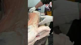 Карачаевский Черный Ягненок  лучшая барашка для шашлыка 