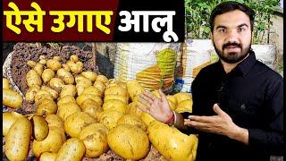 आलू उगाने का नया तरीक़ा | aloo ki Kheti | potato farming | new potato varieties | potato business