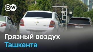 Почему в Ташкенте такой грязный воздух? Проблемы экологии в столице Узбекистана