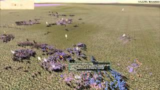 Peculiar Game 004, Effective Skirmish Defence, Part 1