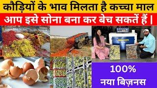Many great ways to convert shell items into gold and sell them | 100% new business | Best Busines...