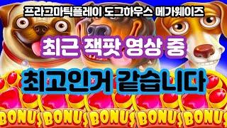 슬롯머신도그하우스메가웨이 최근에 본 잭팟 영상 중 이게 최고인거 같습니다! Pragmatic Play Dog House Mega Way Slot Machine