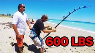 THEY SHOULD HAVE CLOSED THE BEACH!! (600 POUNDS)