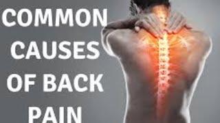 Back pain exercises |physiotherapy| HINA NAZ