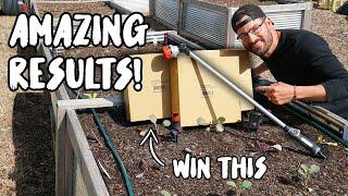 Top 5 RAISED BED IRRIGATION tips + Product Giveaway!