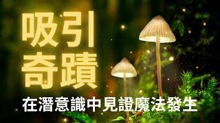 【1小時】吸引奇蹟振動入眠引導 願望加速實現999% | 平復焦慮 深層放鬆 見證奇蹟