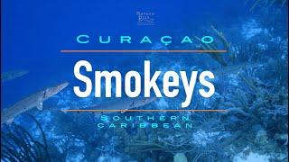 Smokeys Dive Site near Eastpoint Curacao | Curacao Dive Guide | Dive Travel Curacao