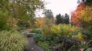 Treasures of New York: The New York Botanical Garden