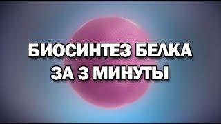 Биосинтез белка за 3 минуты (даже меньше)