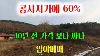 [1338-2][임야매매] 공시지가의 약 60% 가격에 10년전 가격보다 싸고 바다가 인접하고 있는 임야 입니다.
