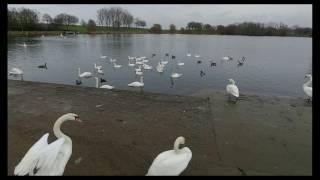 Southmere Lake, Thamesmead South East London