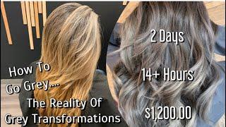 Going Grey | The REALITY Of GREY Transformations | Full Application & Formulations