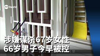 涉嫌谋杀67岁女性 66岁男子今早被控