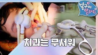 [EBS놀이터] 봉구야 말해줘1｜치과는 무서워｜나영｜봉구｜바바｜2편 모아보기