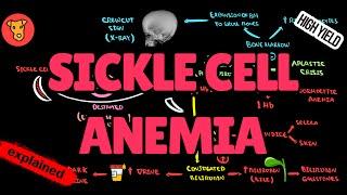 SICKLE CELL ANEMIA Pathogenesis Mechanism of clinical symptoms for USMLE