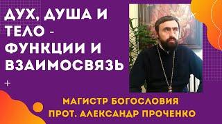 ДУХ, ДУША И ТЕЛО в человеке - ОСНОВНЫЕ их ФУНКЦИИ И ВЗАИМОСВЯЗЬ. Прот. Александр Проченко