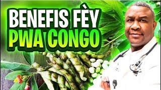 Fèy Pwa Congo: Men Mirak Lap Fè Pou Ou.