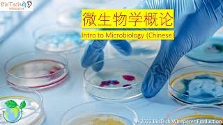 学习微生物学概论 Microbiology Explained (Chinese) 在六分钟内