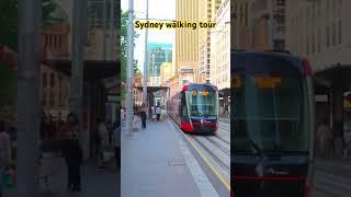 Sydney walking tour #sydneywalktour #sydneycbd #travel #singaporeairport #sydneyharbour #australian