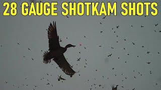 28 GAUGE Duck Hunting - 64 Kills - with a SHOTKAM