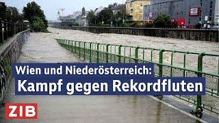 Hochwasser in Wien und Niederösterreich: Kampf gegen Rekordfluten | ZIB2 vom 16.09.2024