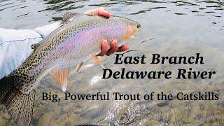 East Branch Delaware River:  Euro Nymphing the Big, Powerful Trout of the Catskills