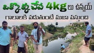 ఒక్కొక్క చేప 4kg లు ఉంది || mama bros treble hook fishing best rohu fishing. @ganeshvlogger143