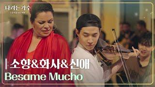 소향&화사&신애 - Besame Mucho [나라는 가수/Moving Voices] | KBS 241102 방송