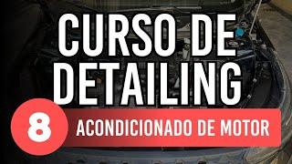 CURSO de DETAILING para PRINCIPIANTES #8 ACONDICIONADO DE MOTOR