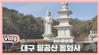 대구 팔공산 동화사 겨울 나들이 vlog/대구 산책하기 좋은 곳/걷기 좋은 힐링 스팟