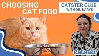 How To Choose Cat Food (Vet explains)