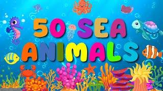 50 Sea Animals for Kids and Toddlers Learning | English Vocabulary | Kids Learning | BrainyBeams