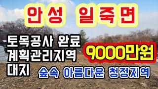 [안성 토지]시세반액 급매 9000만원/소형토지 강추 대박매물/토목공사 완료된 대지/계획관리지역/일죽IC 약 6분