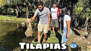 PESCANDO TILAPIAS CON EL LORO @elloroyoutubero6825