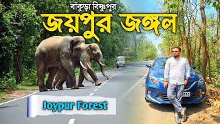 Joypur Forest Bankura | Kolkata to Bankura Joypur Jungle | Joypur Jungle | Banalata resort | Bankura