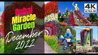 Dubai Miracle Garden 2023 |  December Vlog| Full Video -  Season - 11 |4K|