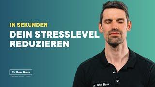 Dein Stresslevel sofort reduzieren - Dr. Ben Baak