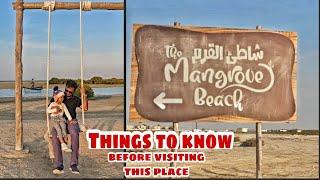 Mangrove Beach, Umm Al Quwain | Things to know before visiting the place | Places to visit in UAQ