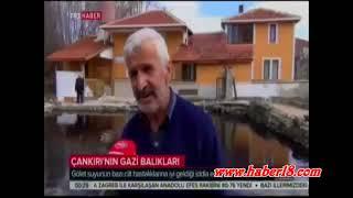 Çankırı Asker Balıklar