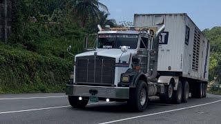 Wards Kenworth T800W black Panda 