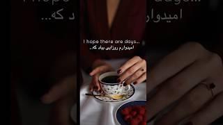 امیدوارم یه روزای بیاد که ...