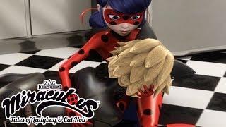 Miraculous Ladybug |  Favourites  | Ladybug and Cat Noir | Animation